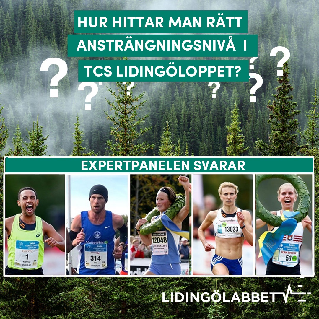 The expert panel advises: Find the right effort level during TCS Lidingöloppet